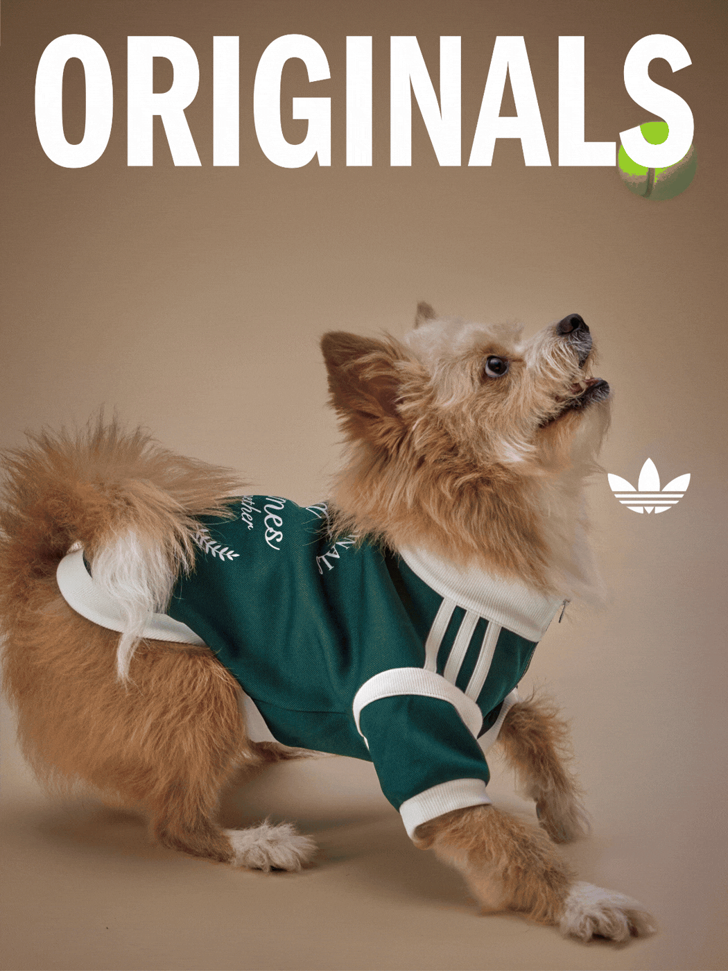 Originals Pet Collection
