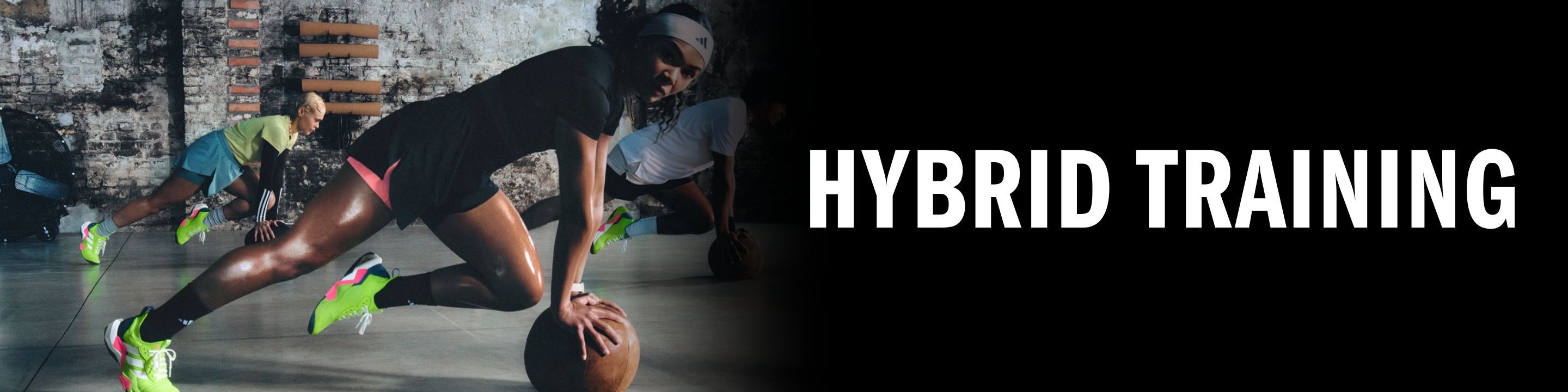 Hybrid Training
