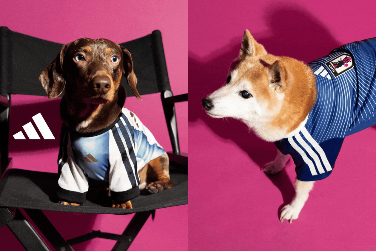 FIFA WORLD CUP 26&trade; Pet Collection