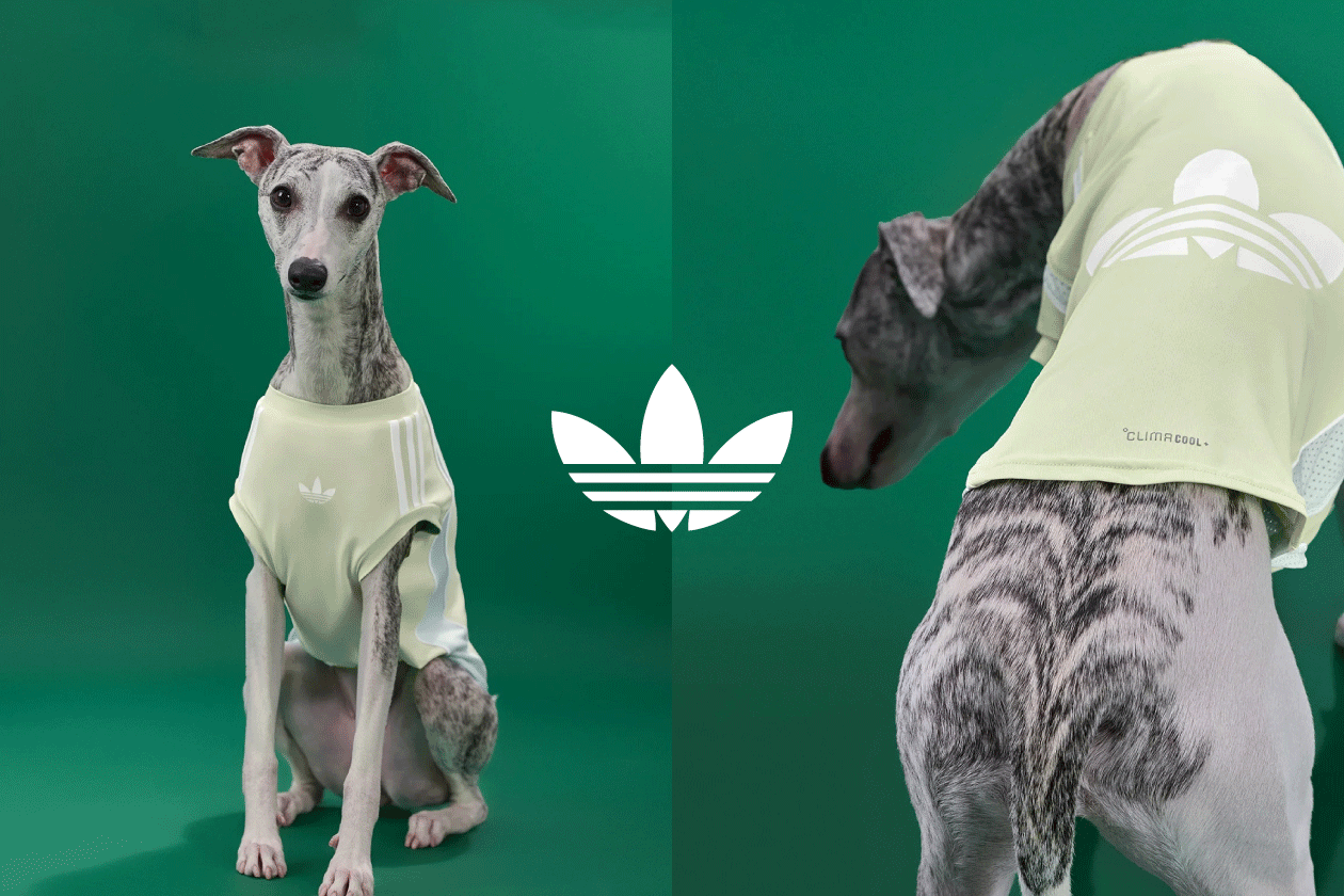 ORIGINALS PET COLLECTION
