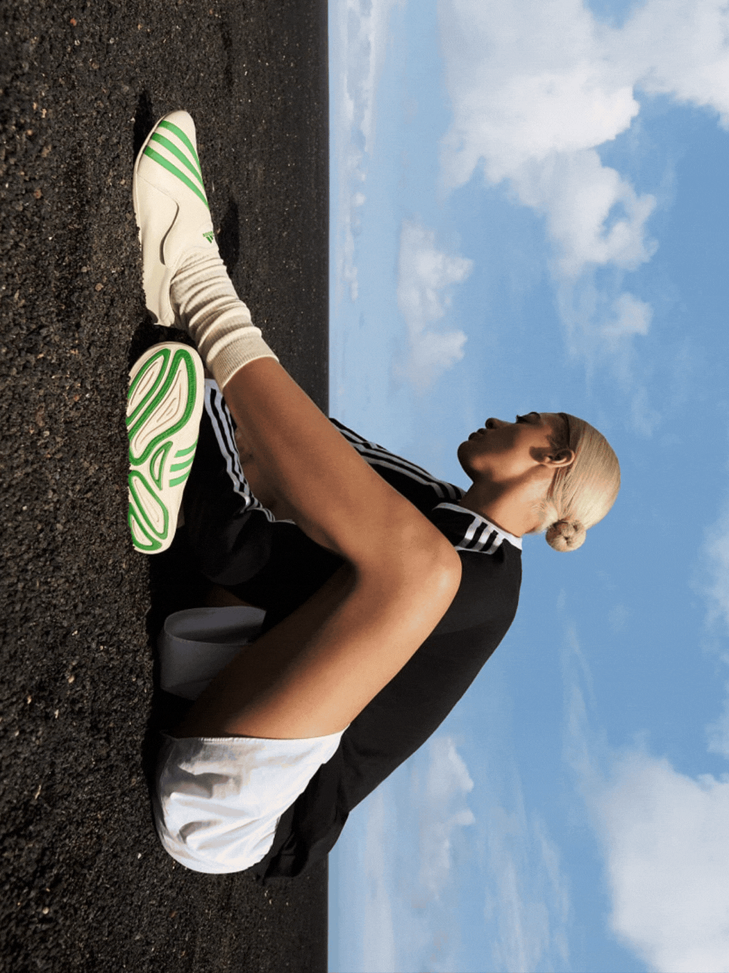 VIRGINIA Vario FLAT EARTHER