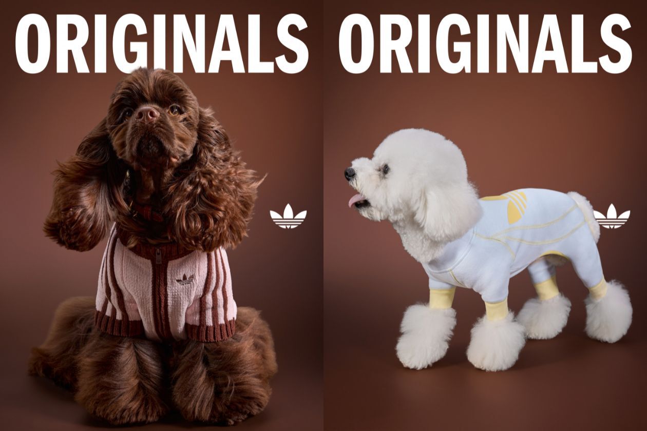 ORIGINALS PET COLLECTION
